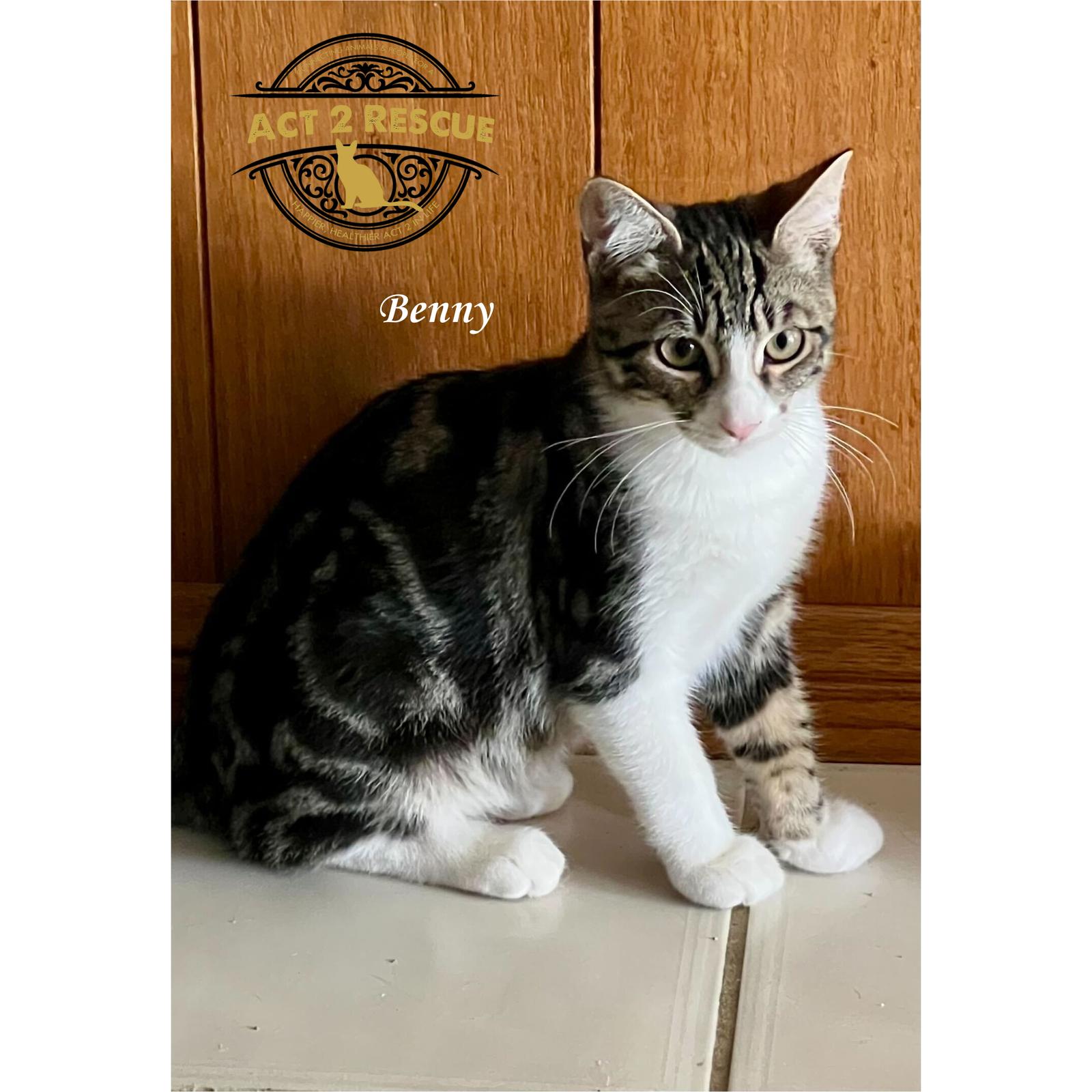 Benny (Bonded with Sky)