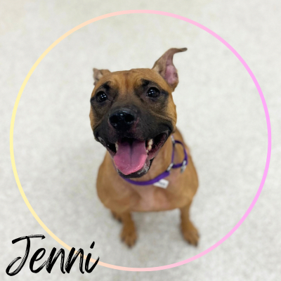 Jenni