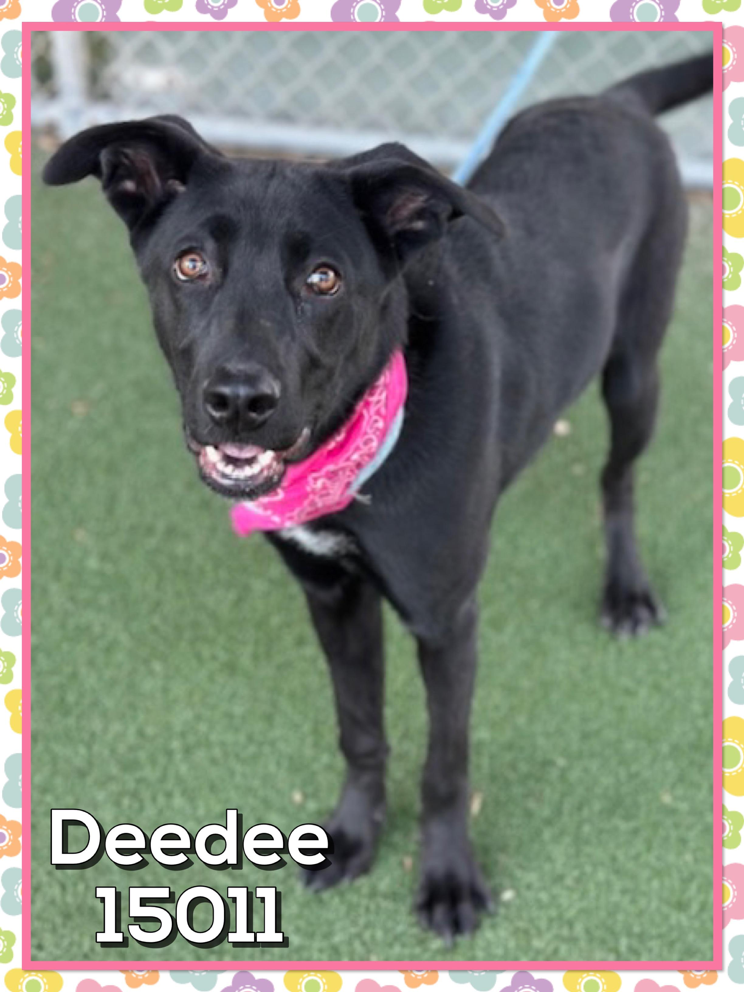 DEEDEE