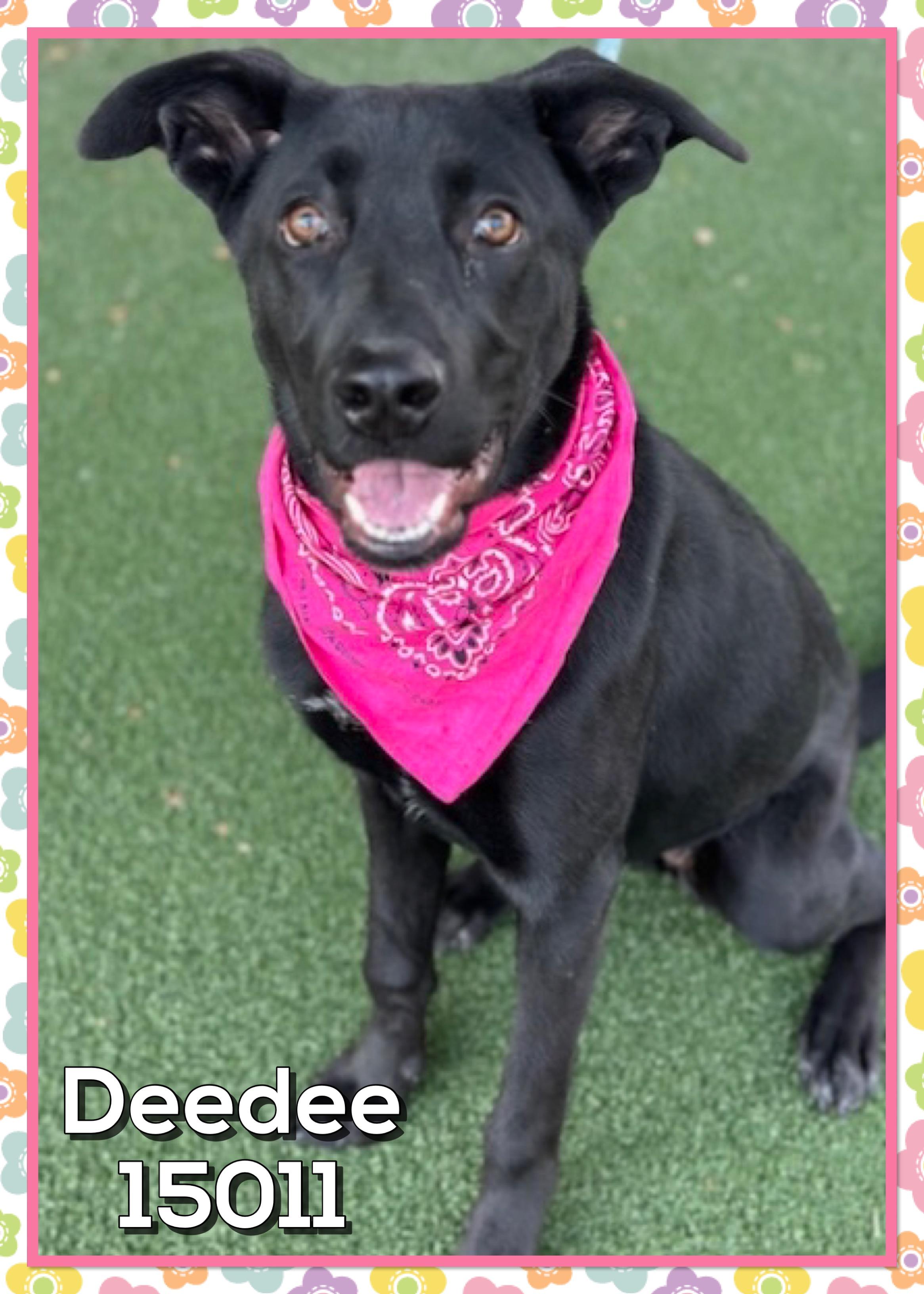 DEEDEE