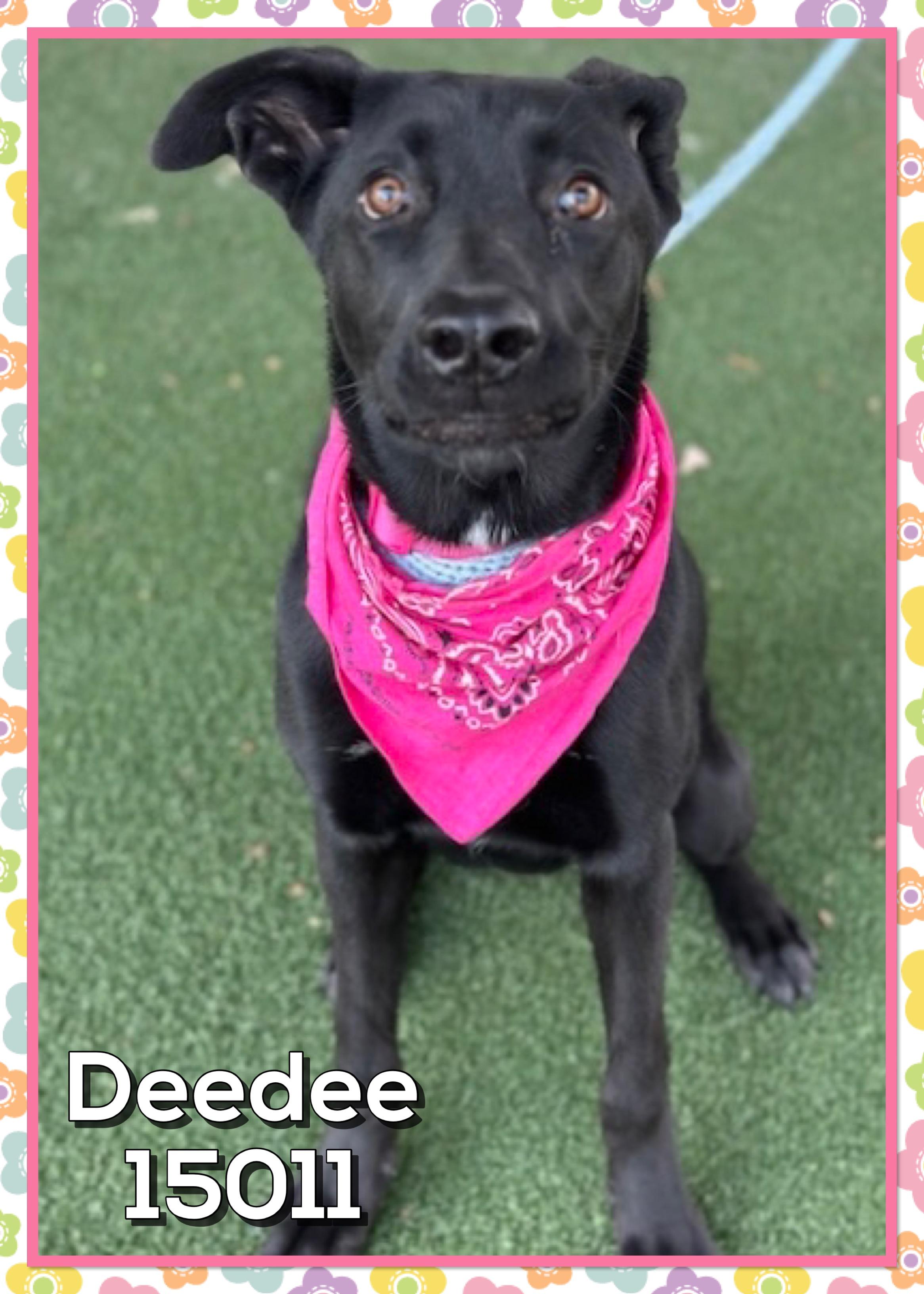 DEEDEE