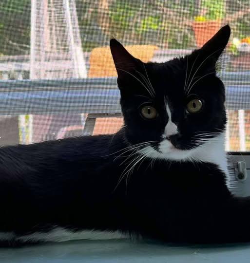 Grace and Linus (female)