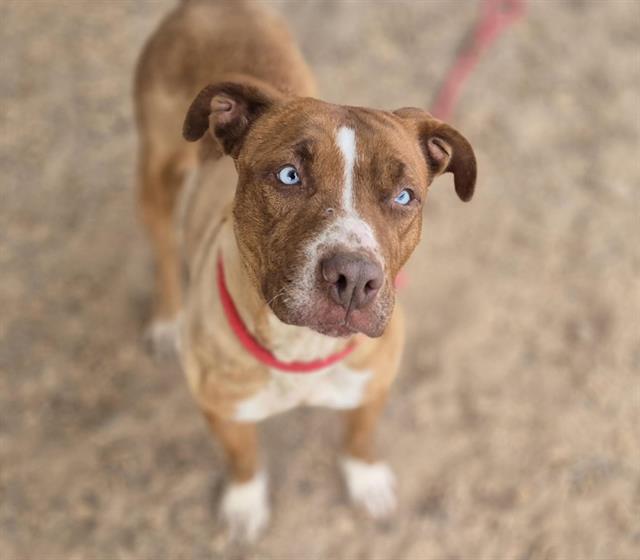 WYNONA — thumbnail 2