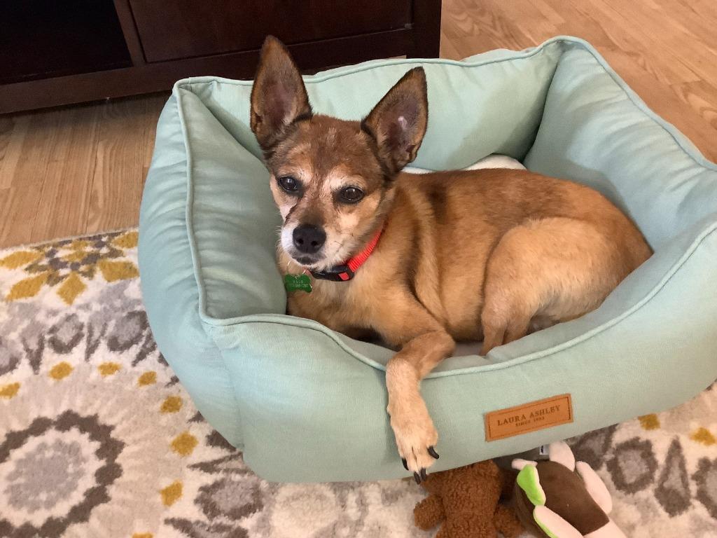 Penny — thumbnail 2