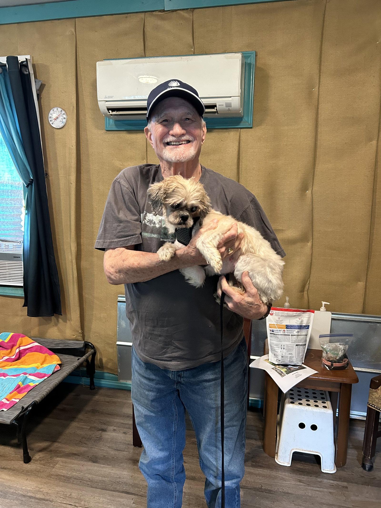 Enlarge Bennie May 26, a Adopted Shih Tzu in Pacolet, SC image 2/3