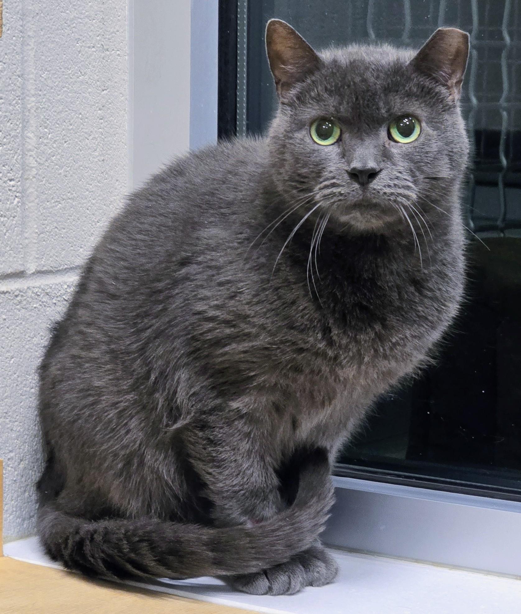 5-224 Beau — thumbnail 2