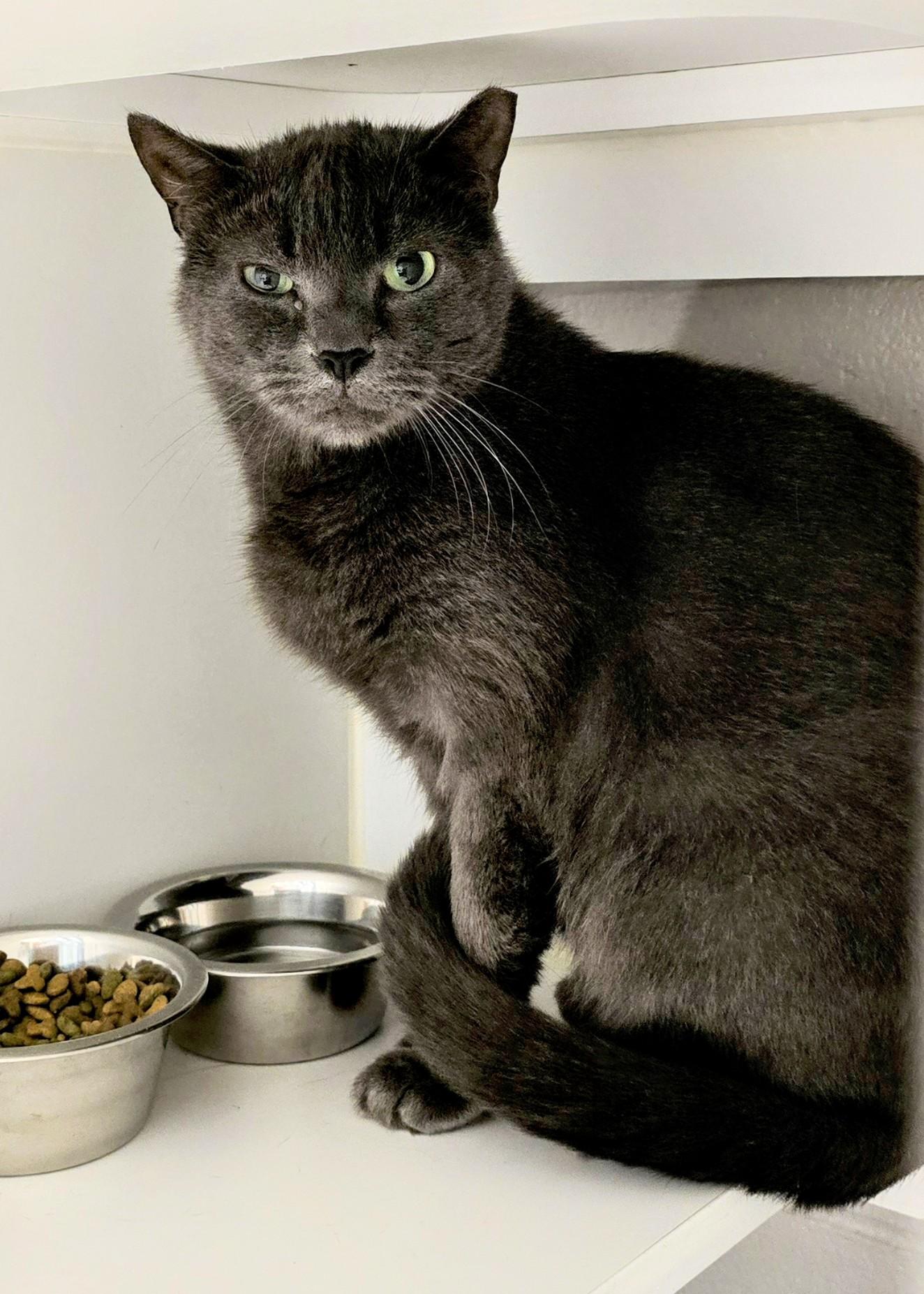 5-224 Beau — thumbnail 4