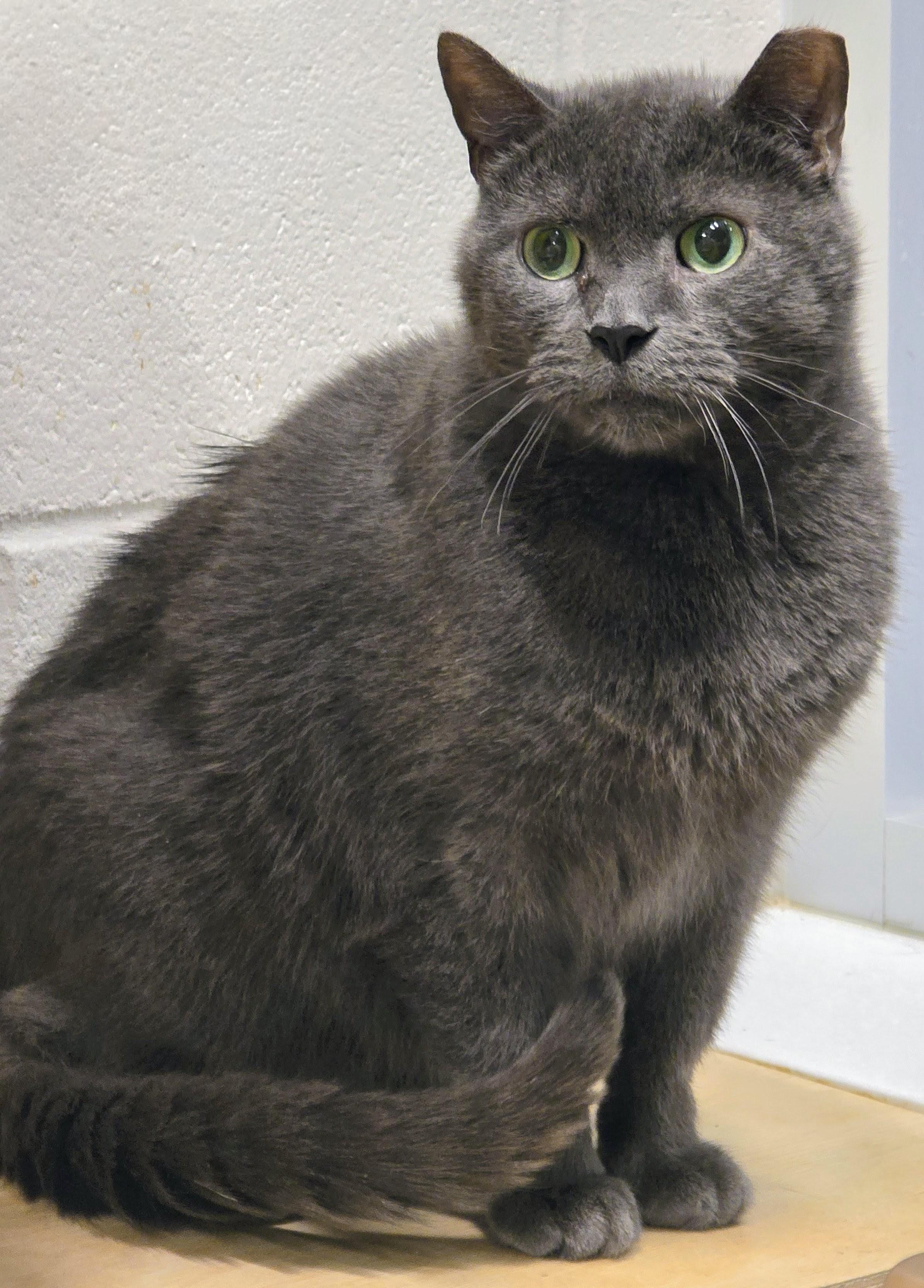 5-224 Beau — thumbnail 5