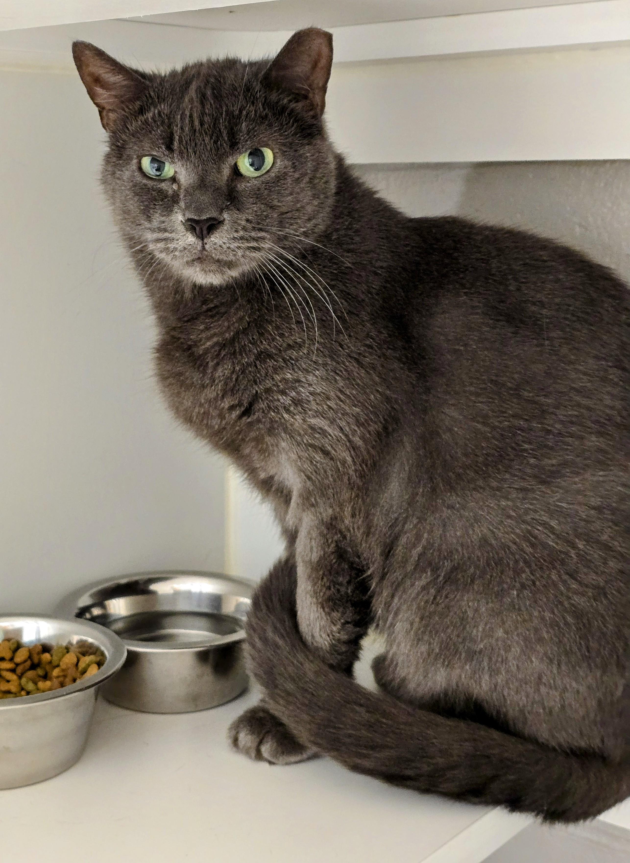 5-224 Beau — thumbnail 6