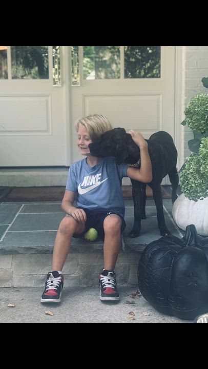 Enlarge Scarlett, a Adoptable mixed breed video 5/6