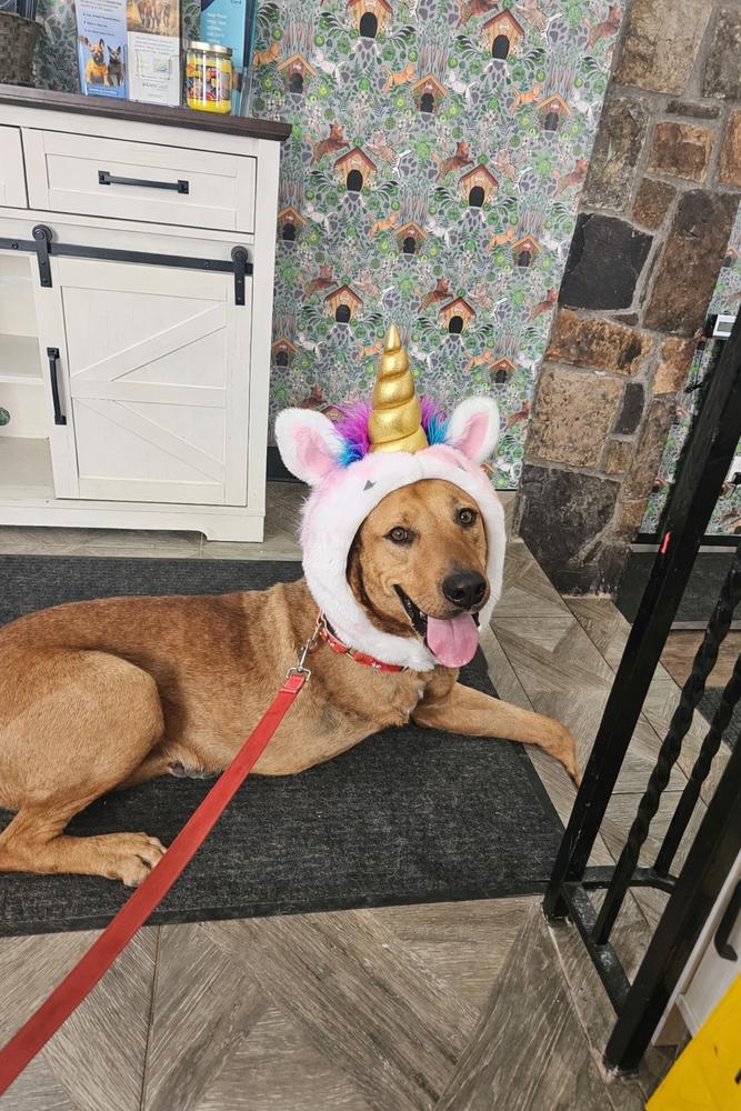 Axle — thumbnail 2