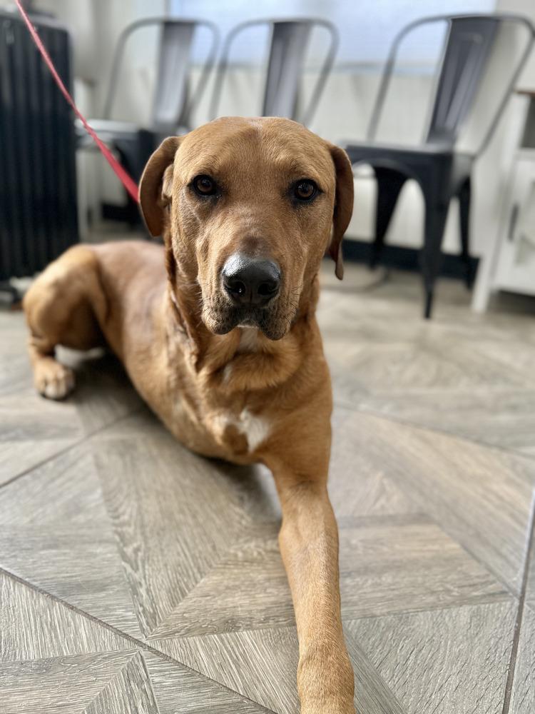 Axle — thumbnail 5