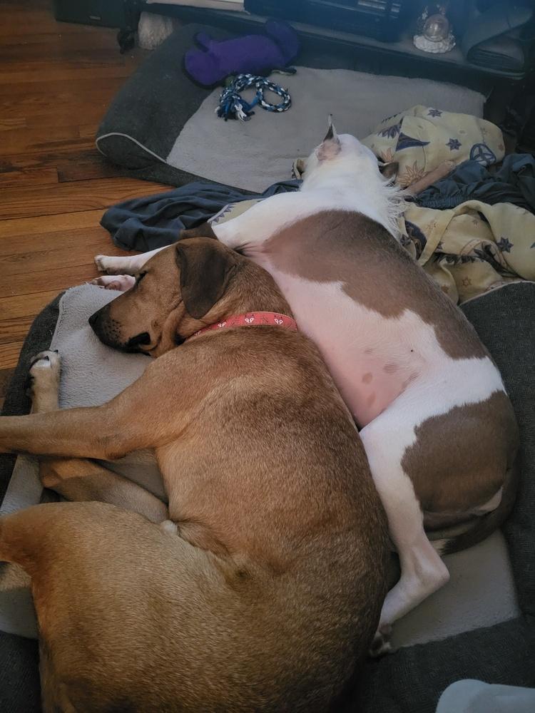 Axle — thumbnail 6