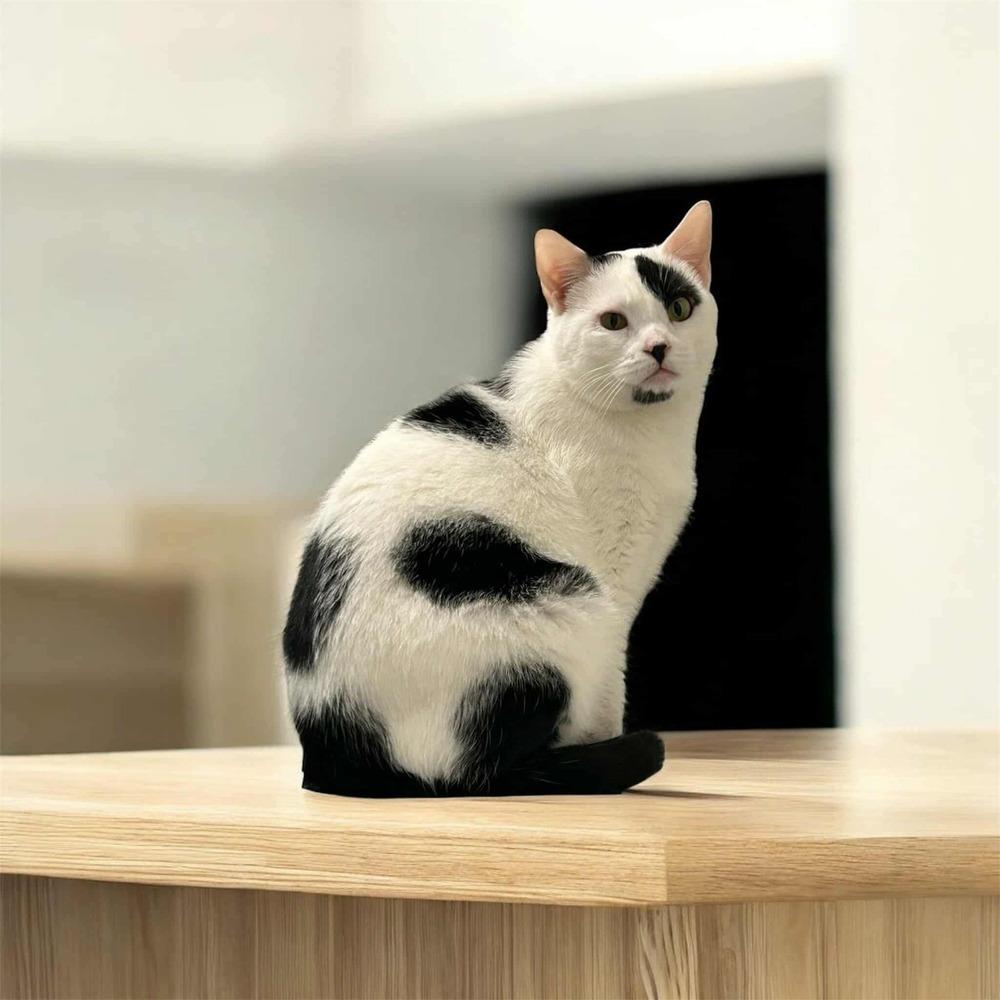 Rosebud — thumbnail 2