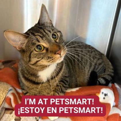 Zachary — thumbnail 2