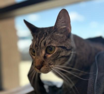 Zachary — thumbnail 3