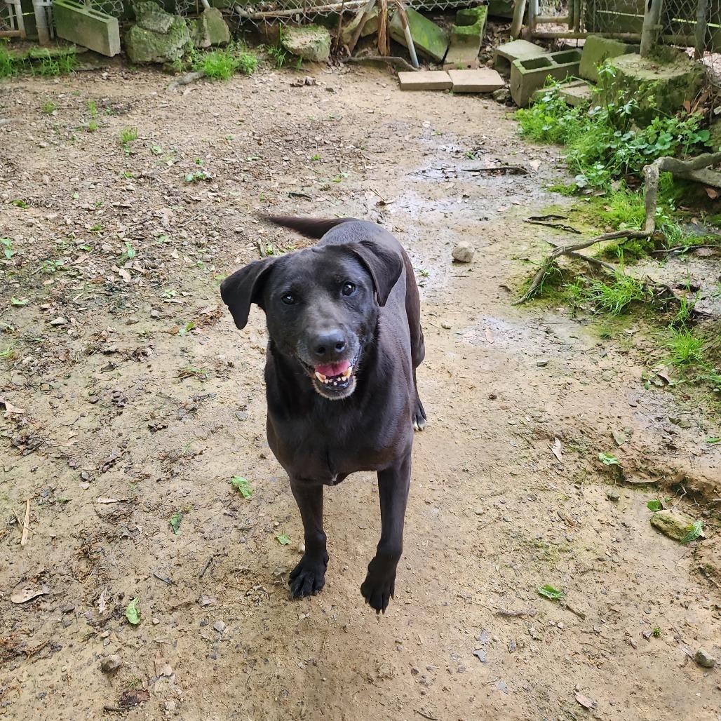 Flash — thumbnail 2