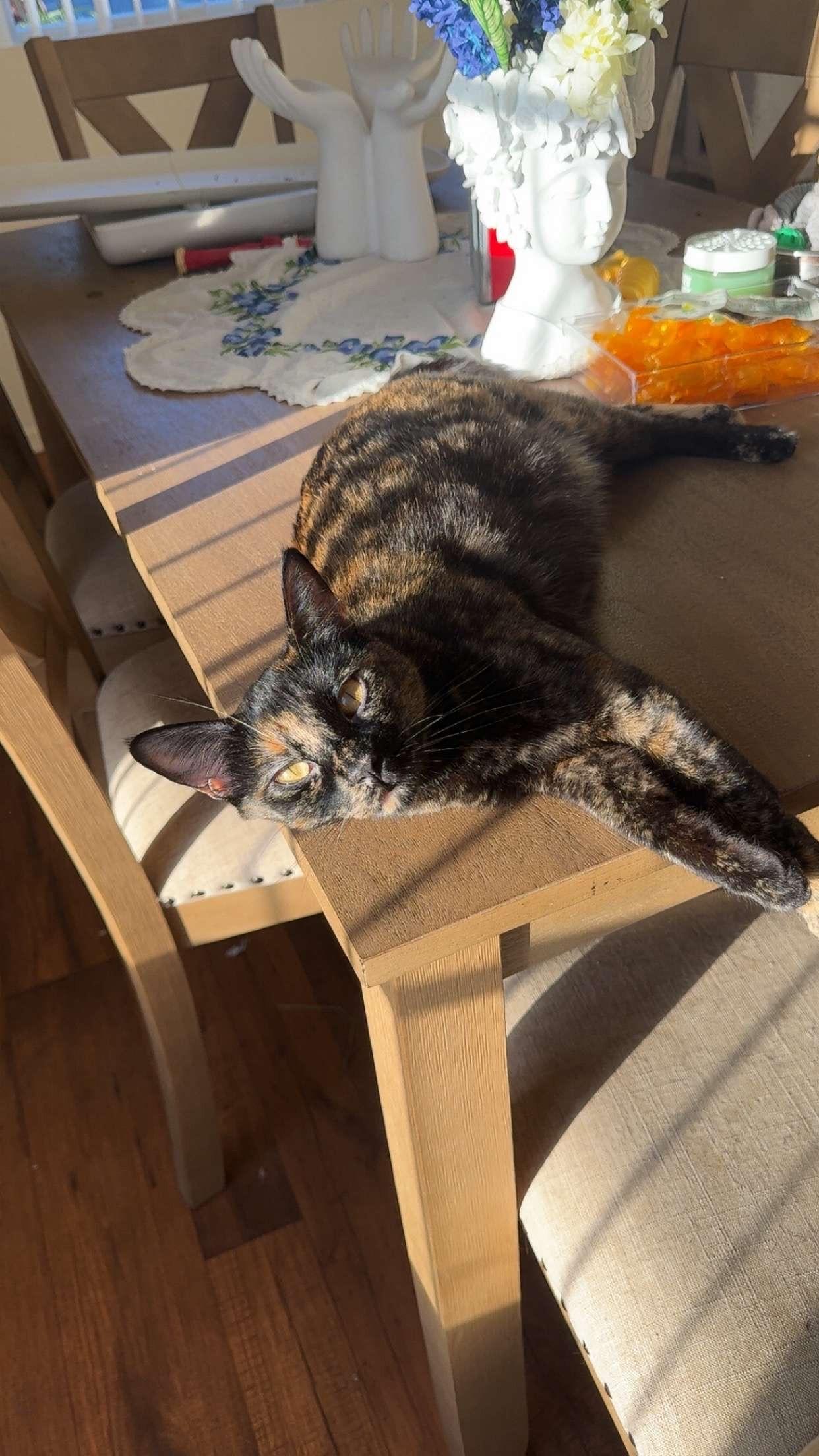 Caroline, the whispering kitty!
