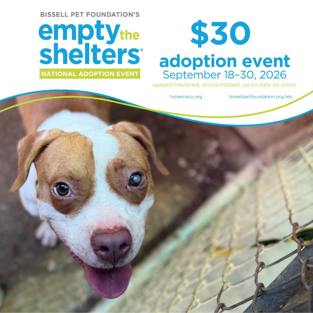 Enlarge Carl 5199, a Adoptable Mixed Breed in Hamilton, GA image 5/6