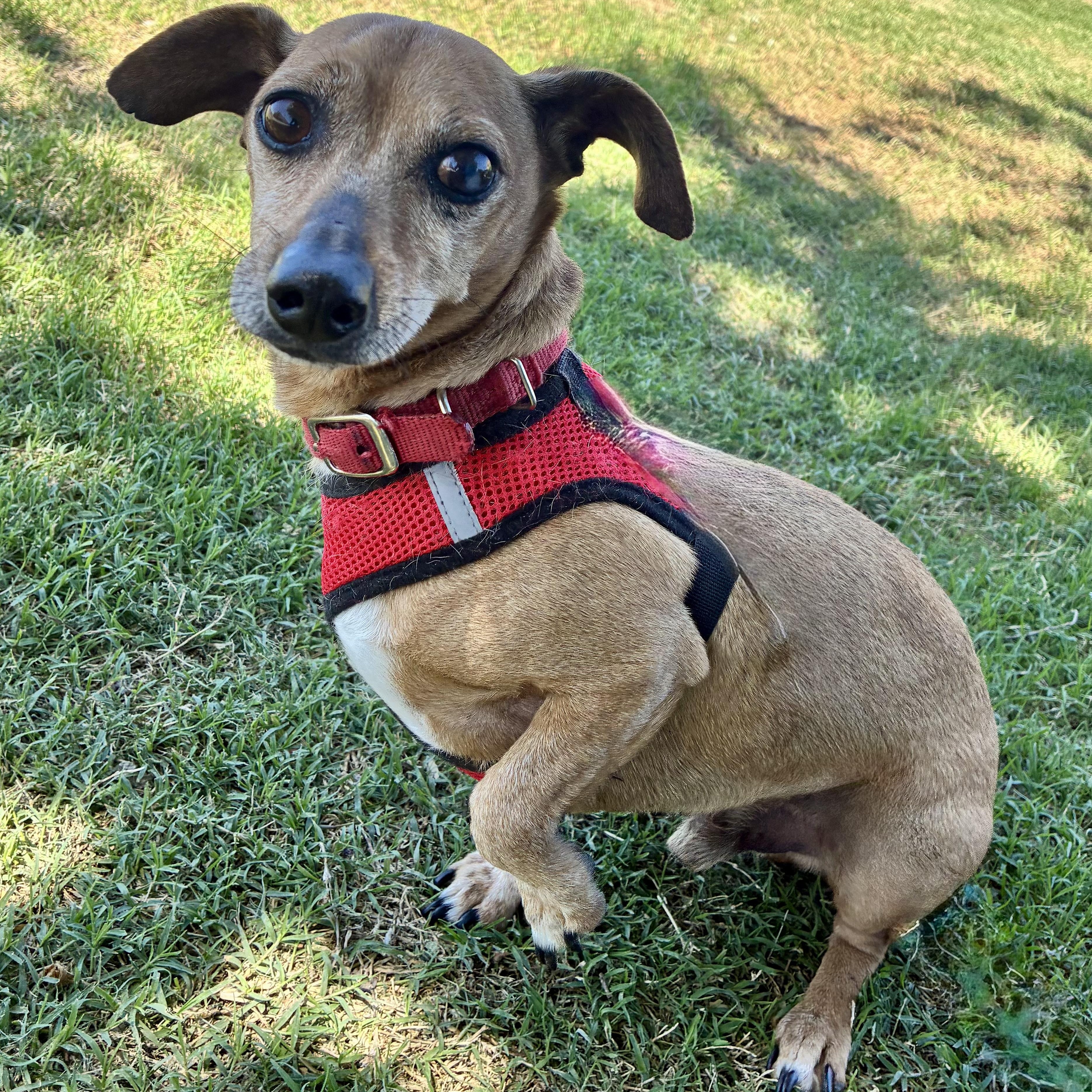 Max