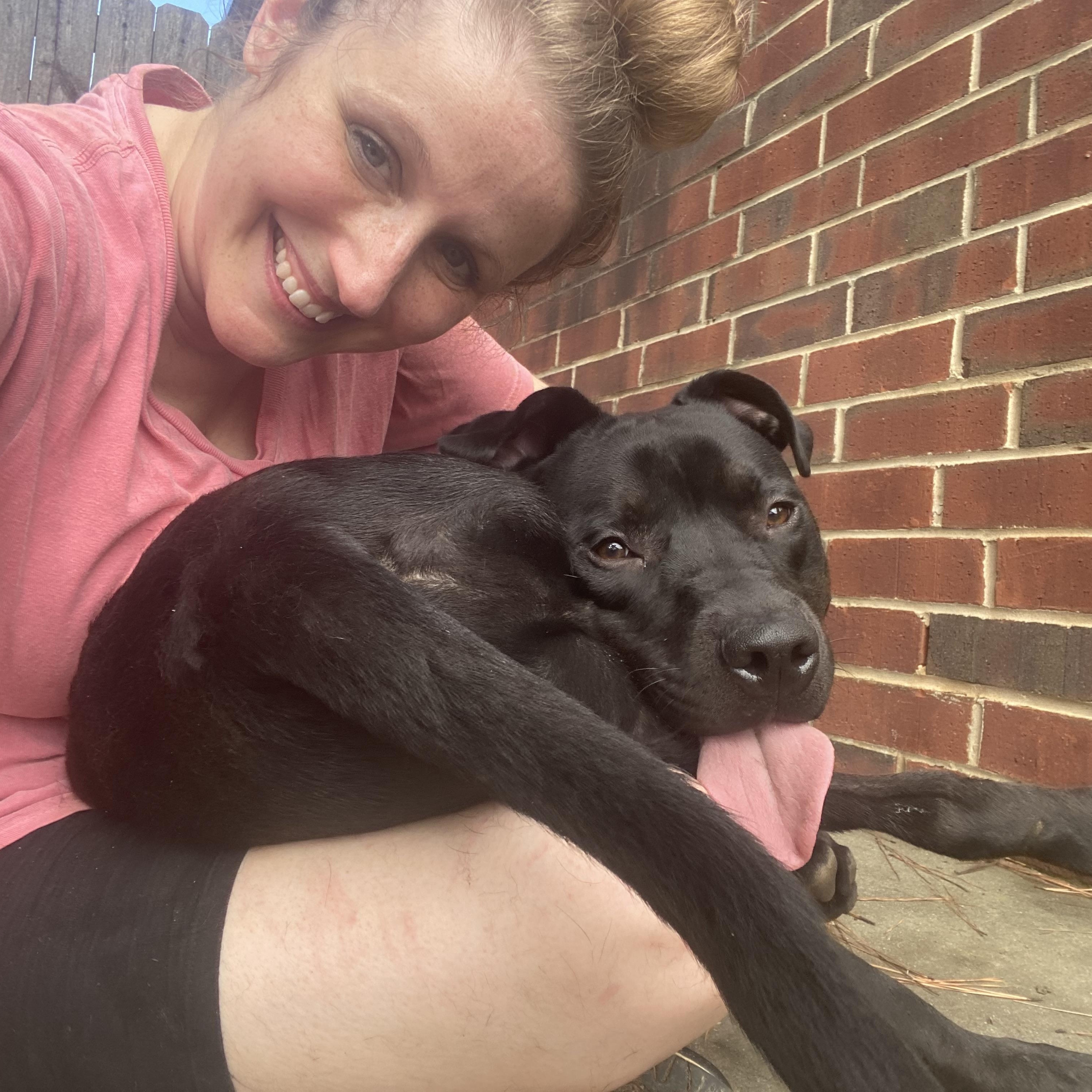 Enlarge Linus, a Adoptable Pit Bull Terrier in Greensboro, NC image 3/5