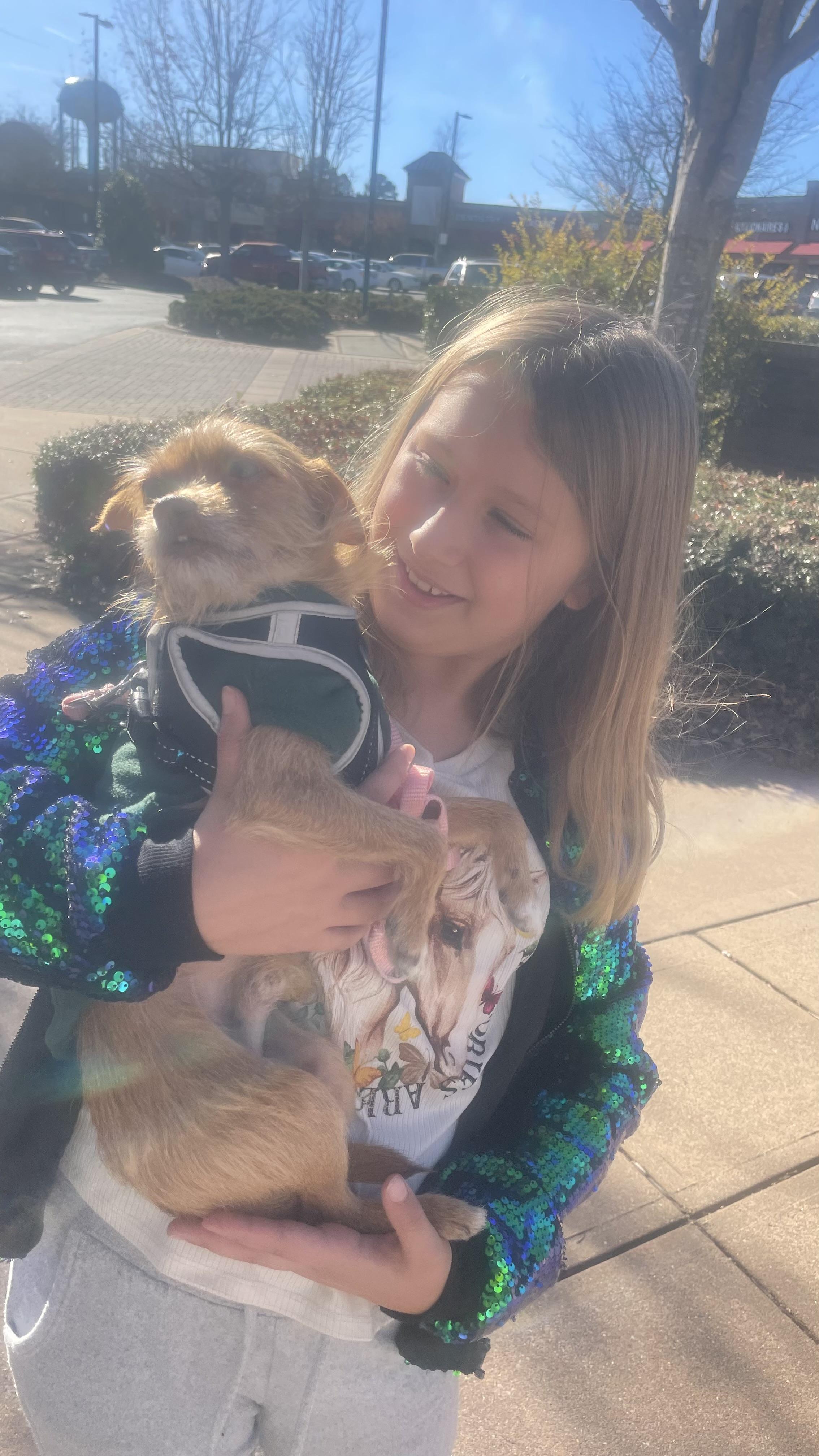 Enlarge Caramel, a ADOPTABLE mixed breed in Cary, NC image 1/4