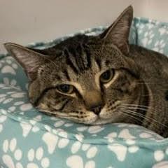 Otis photo 2