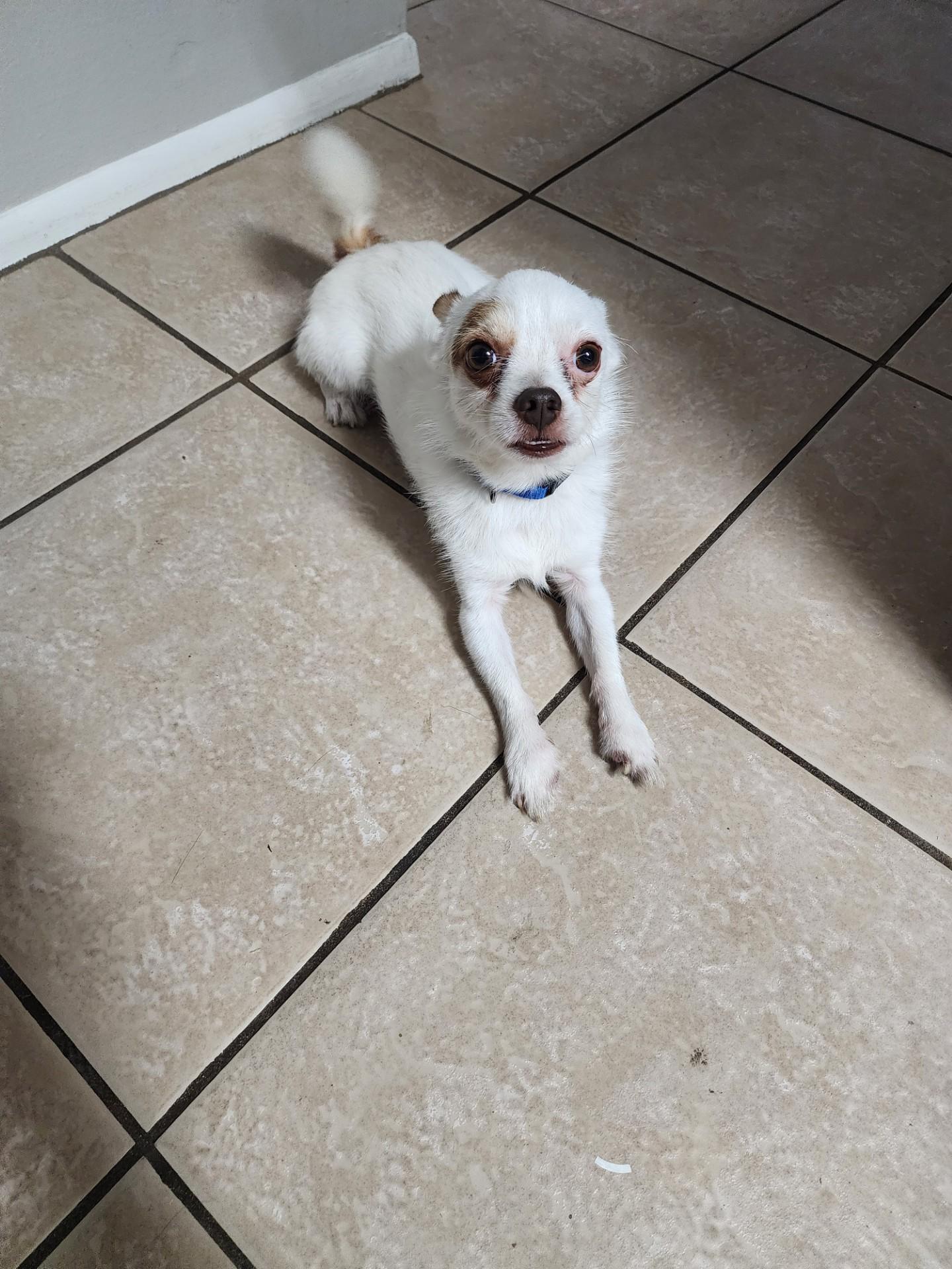 Tucker