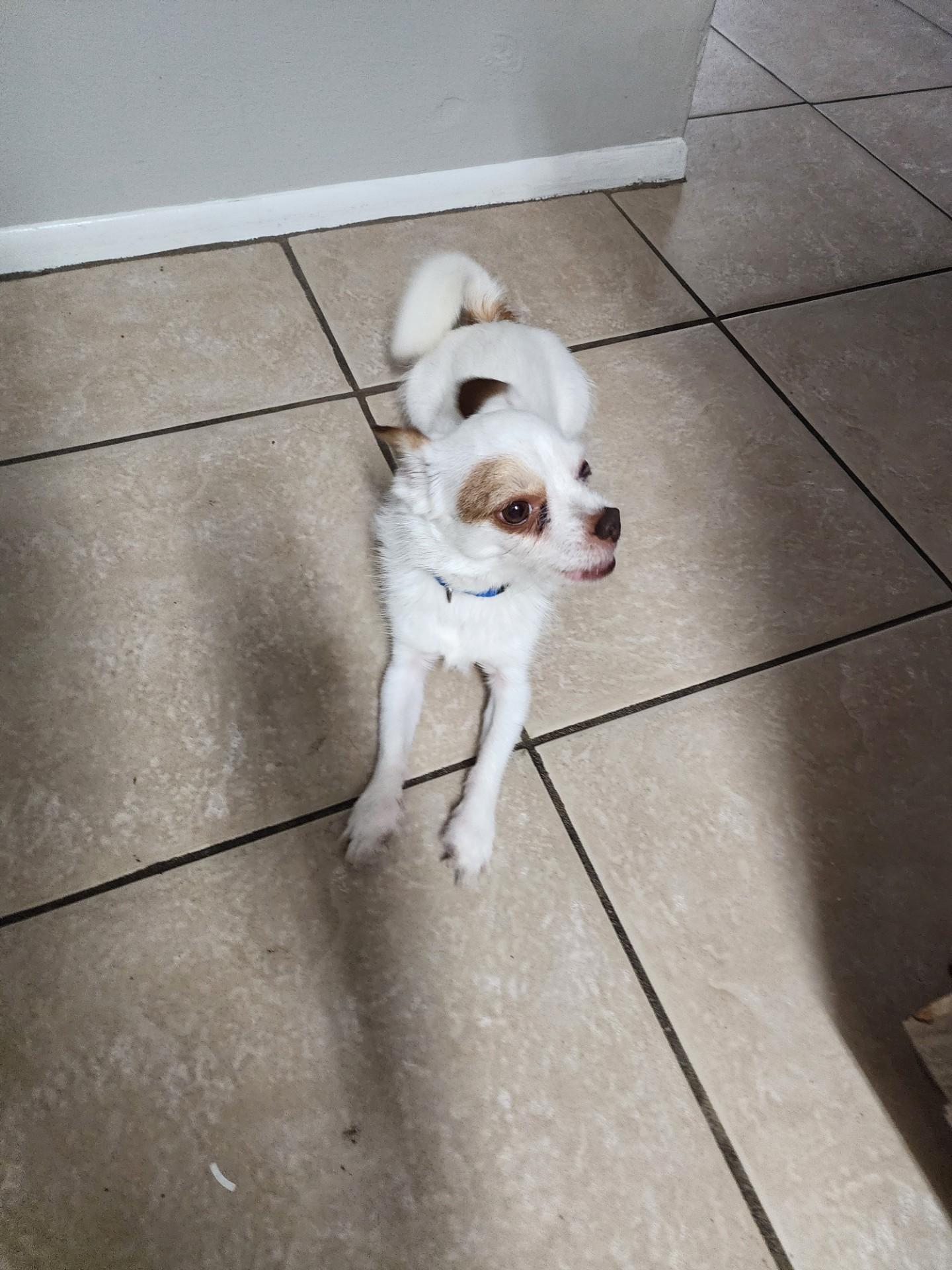 Tucker
