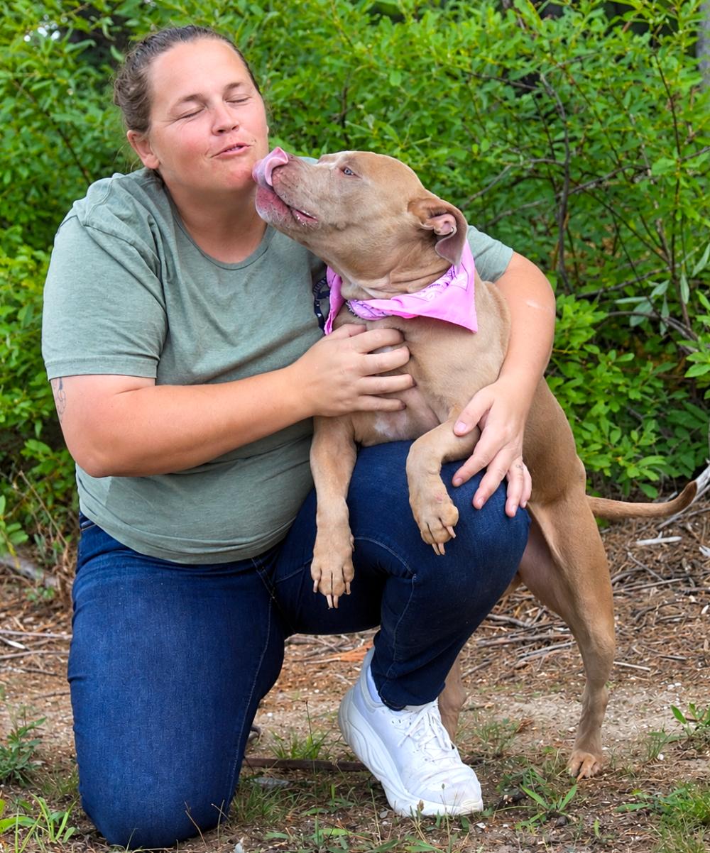 Enlarge Sadie Mae, a Adopted mixed breed in Cheboygan, MI image 5/5