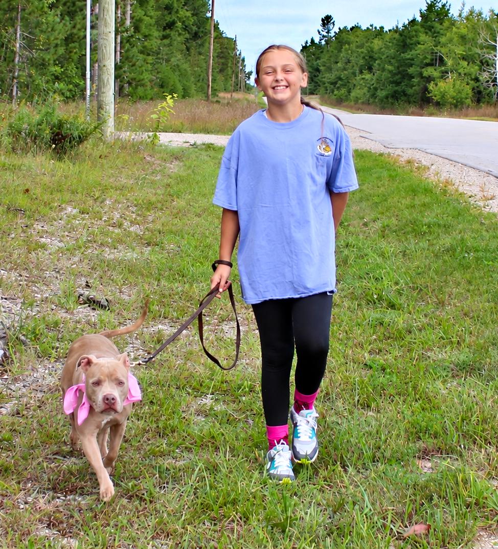 Enlarge Sadie Mae, a Adopted mixed breed in Cheboygan, MI image 4/5