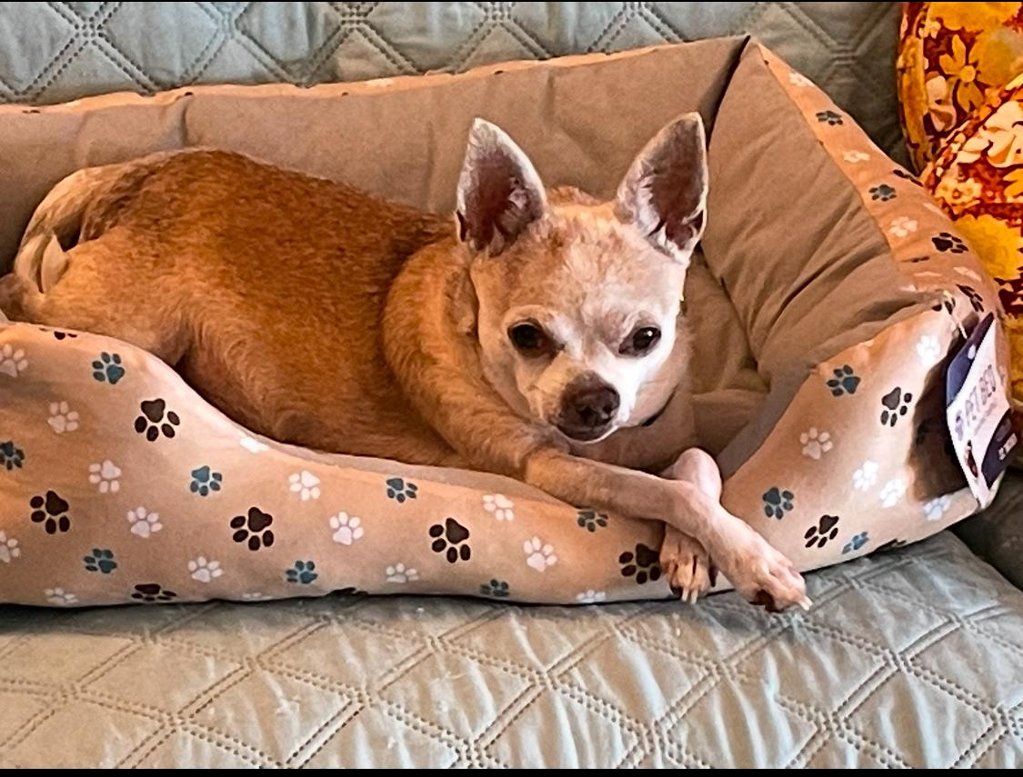 Buddy photo 4