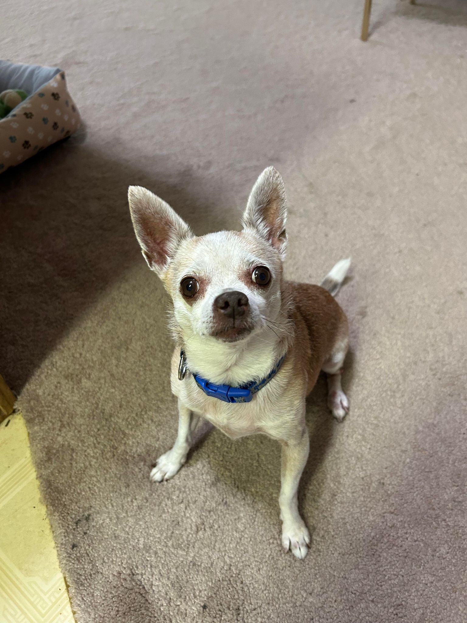 Buddy photo 3