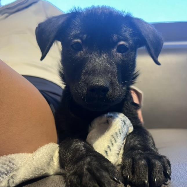 Gamer — thumbnail 4