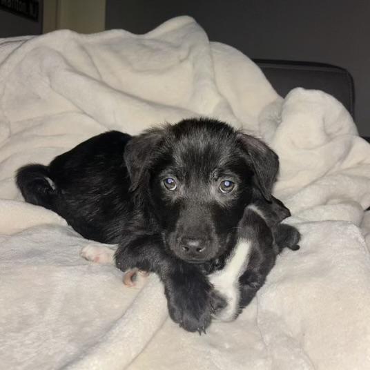 Gamer — thumbnail 6