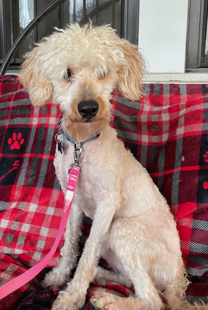 Max photo 5