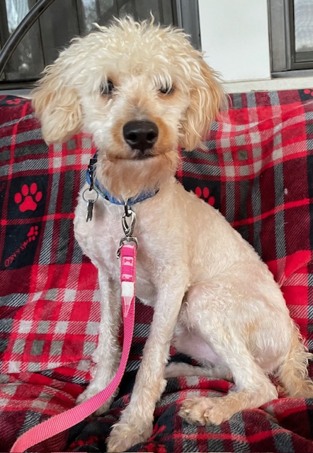 Max photo 4