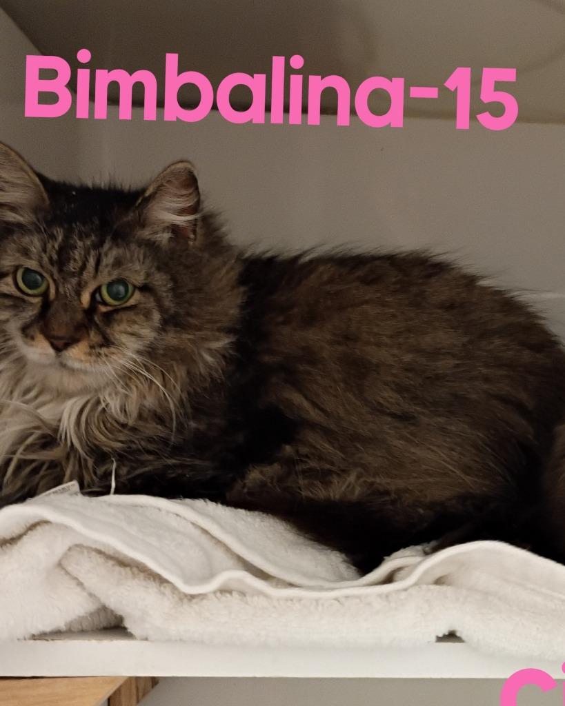 Bimbalina