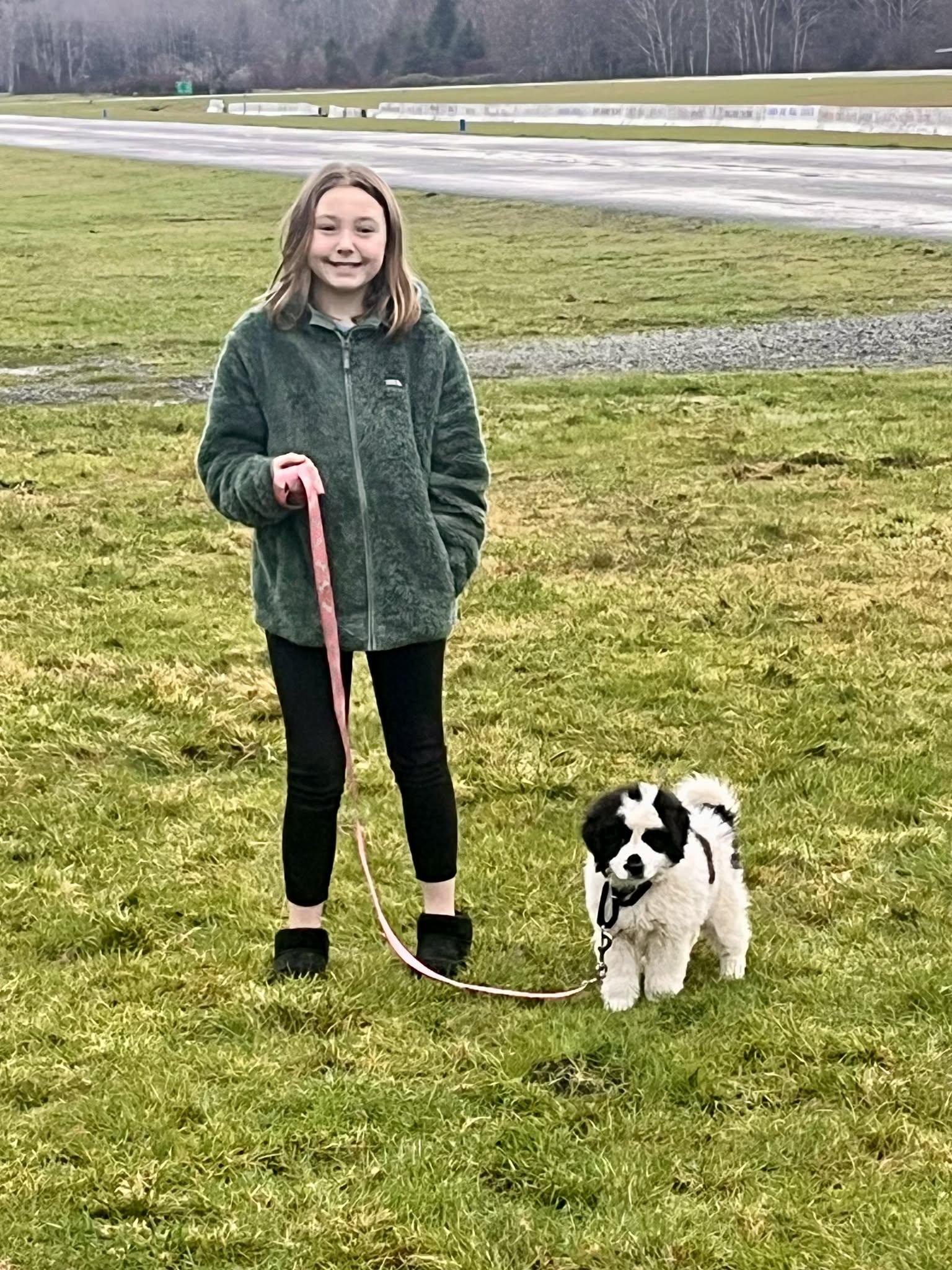 Enlarge August, a ADOPTABLE mixed breed in Port Angeles, WA image 3/3