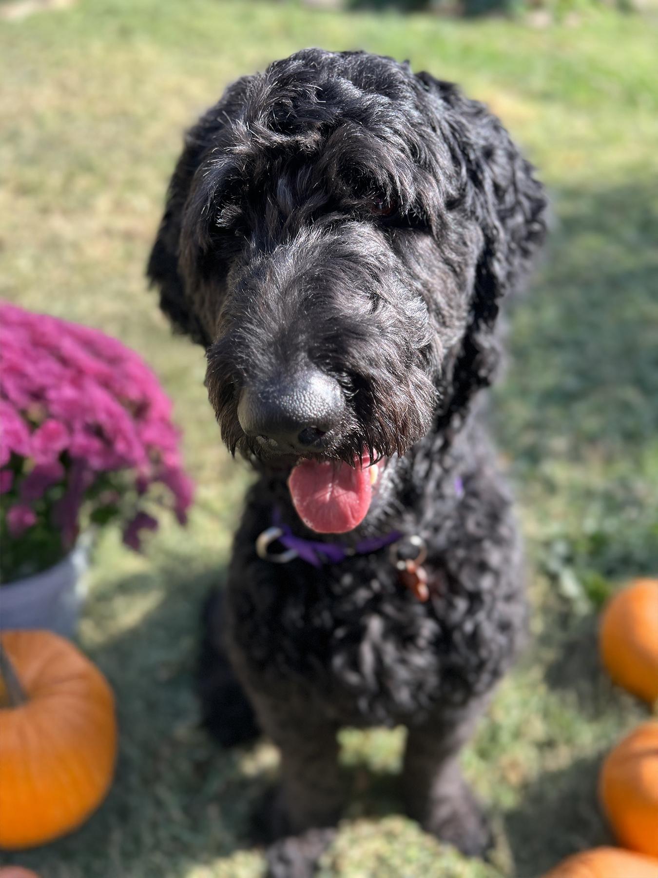 George