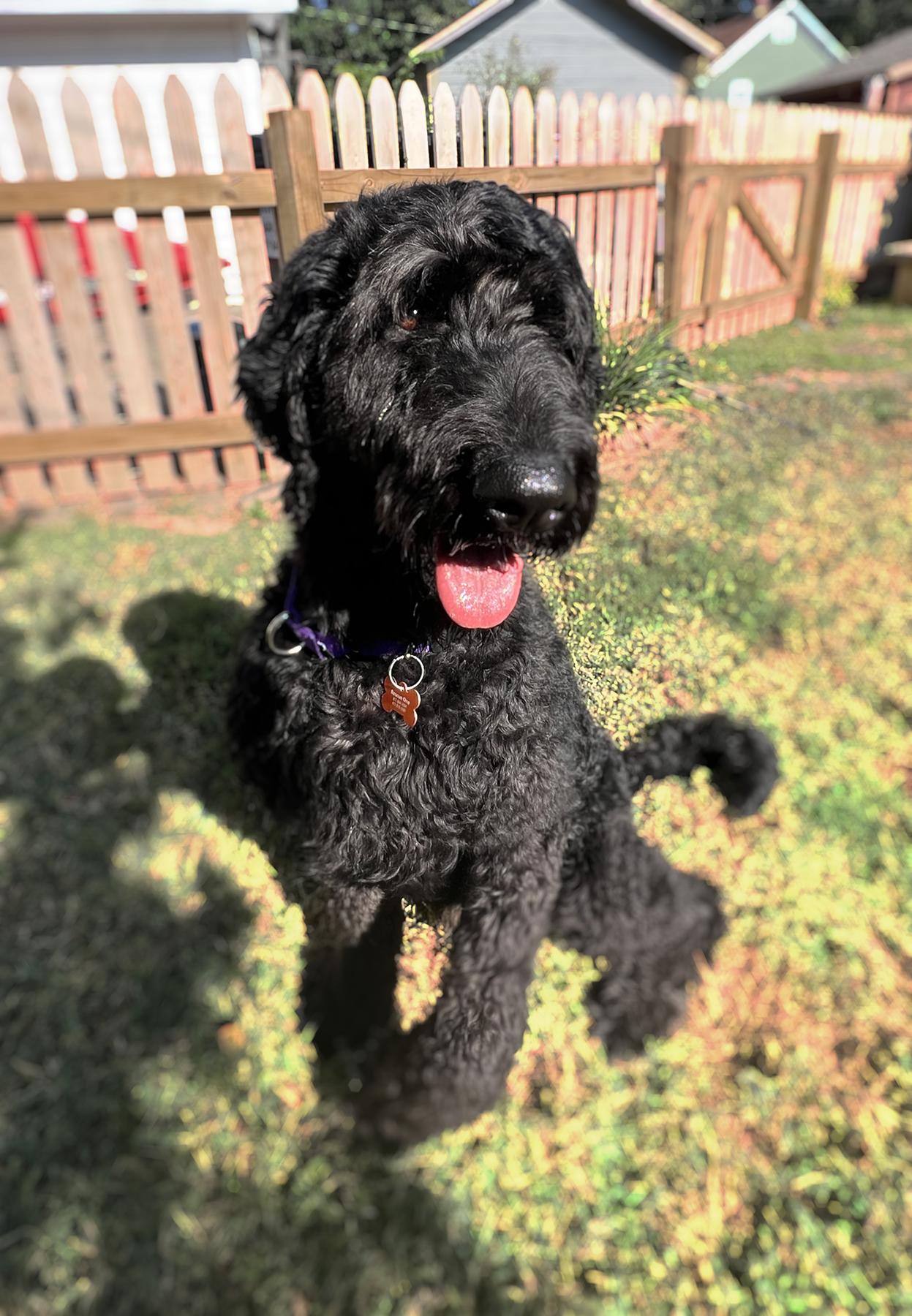 George