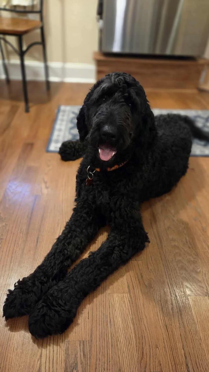 George