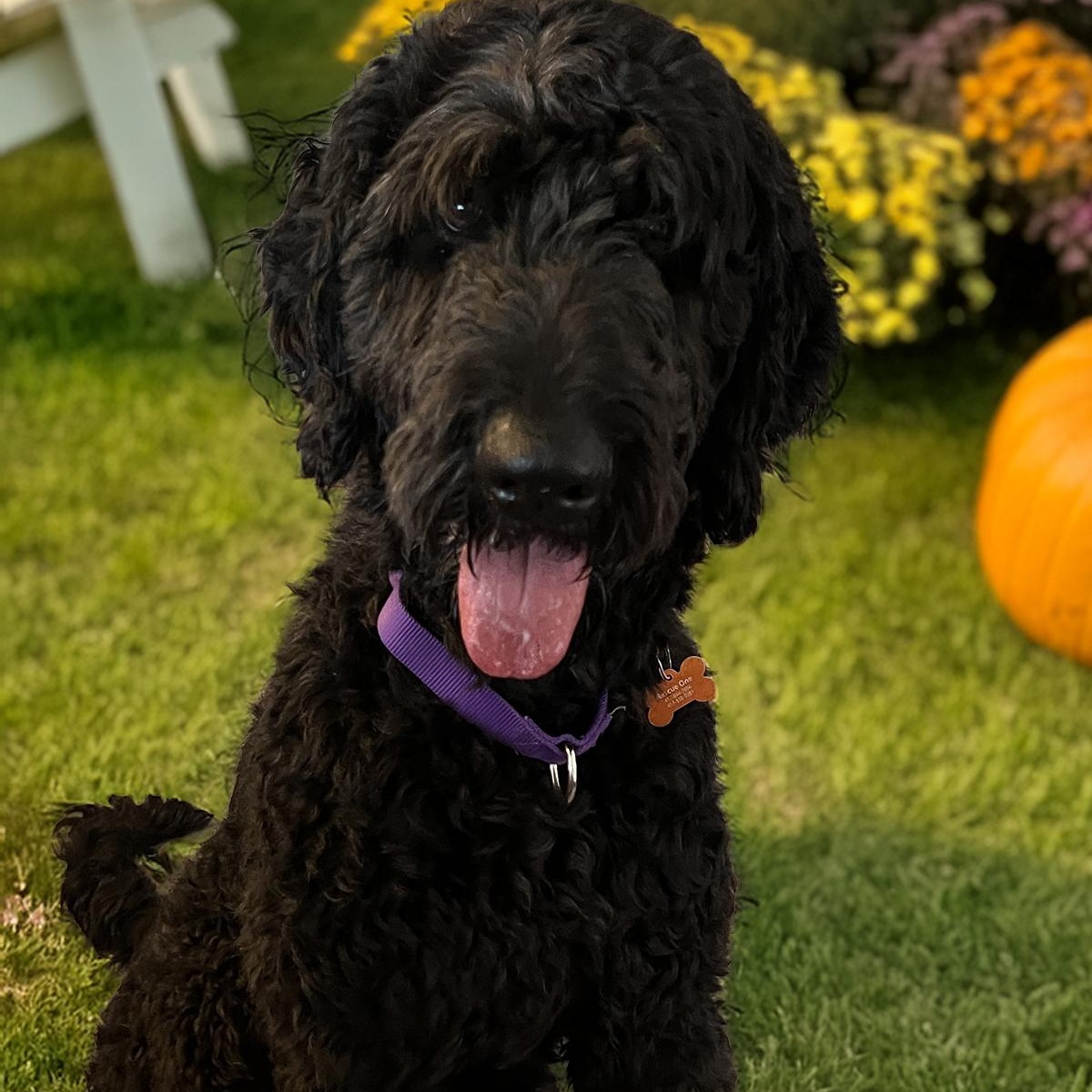 George