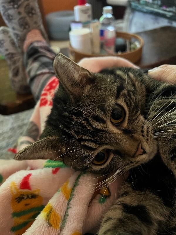 Angel — thumbnail 2