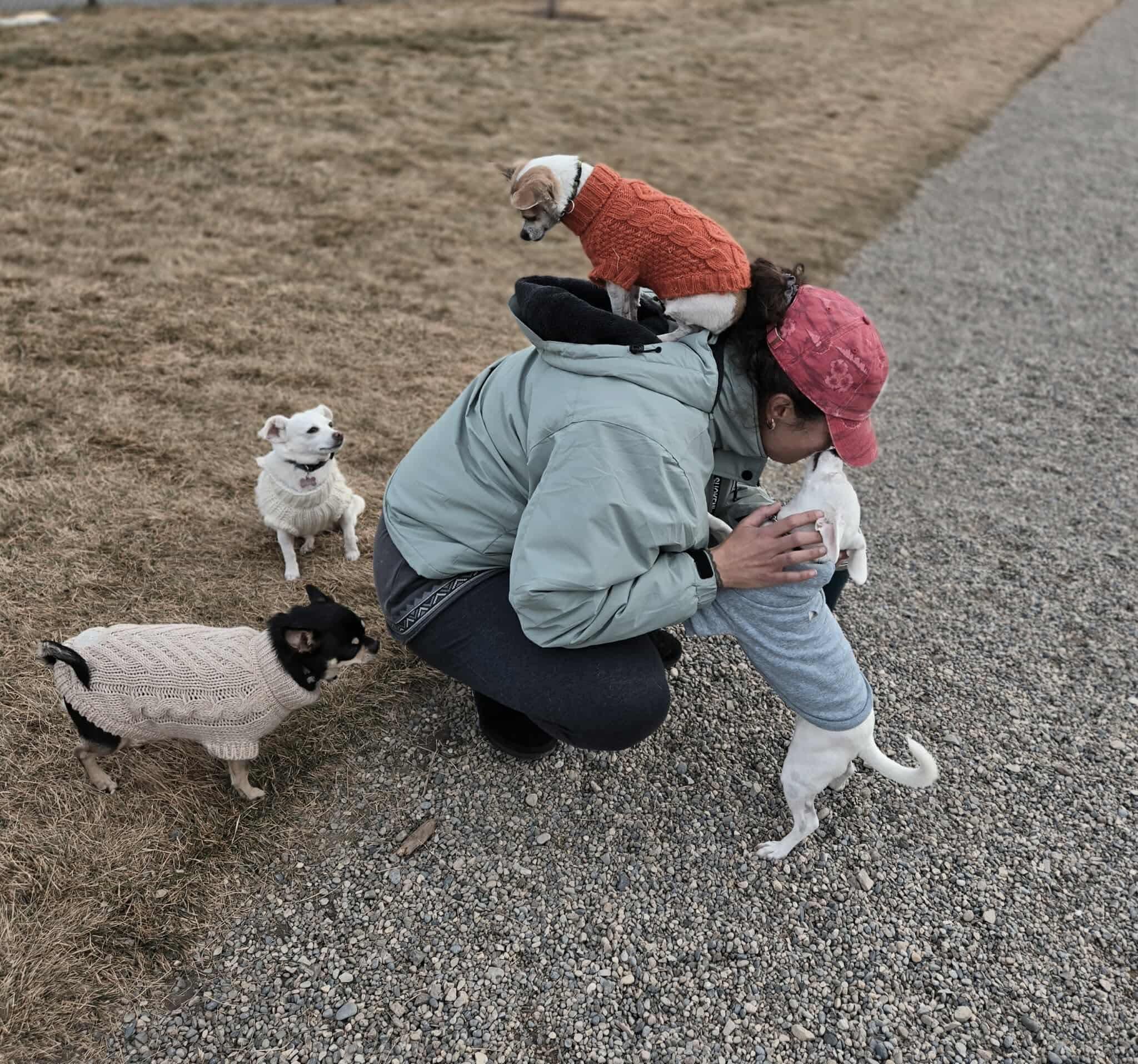 Lenny, a ADOPTABLE mixed breed in Calgary, AB image 6/6