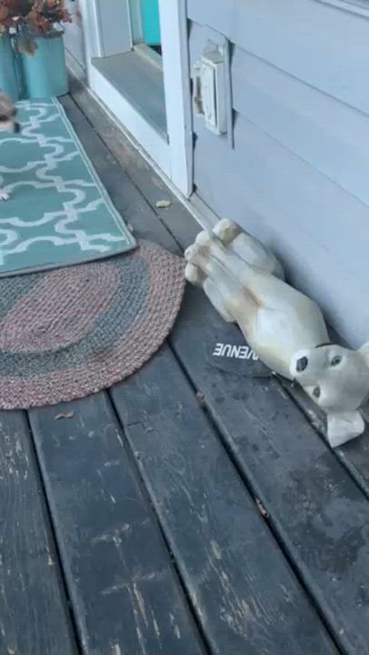 Enlarge Lenny, a ADOPTABLE mixed breed in Calgary, AB video 5/6