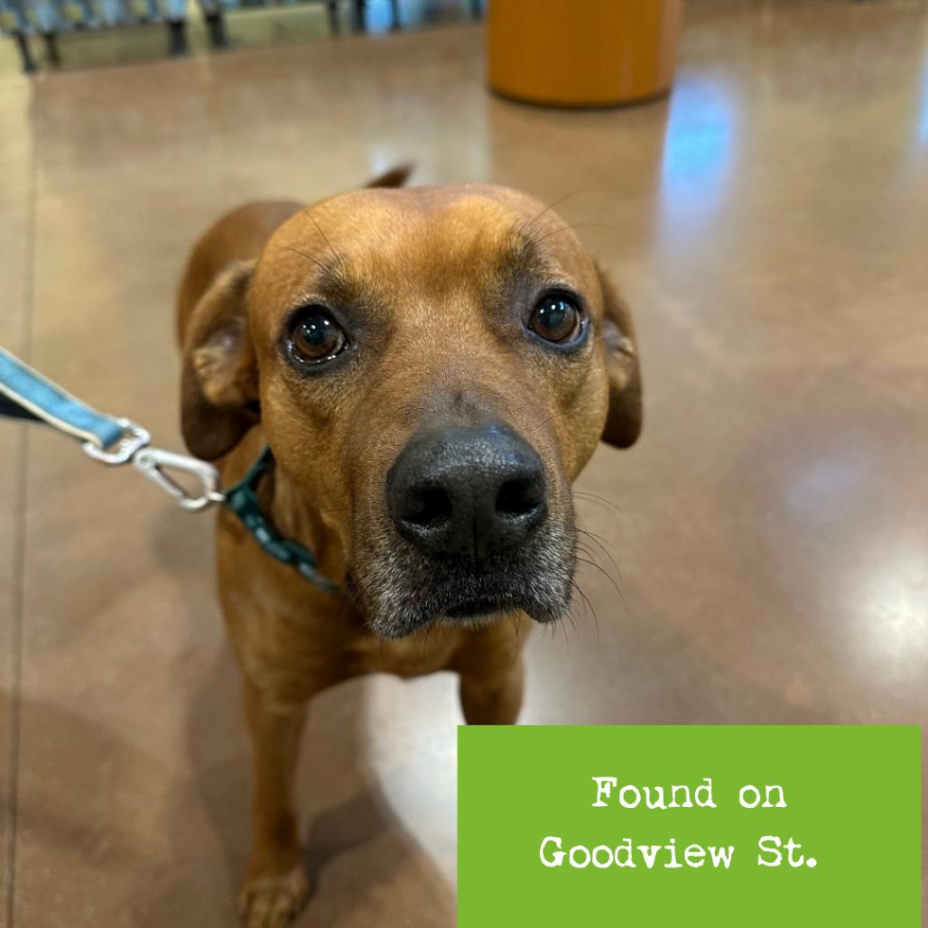 Damian — thumbnail 2