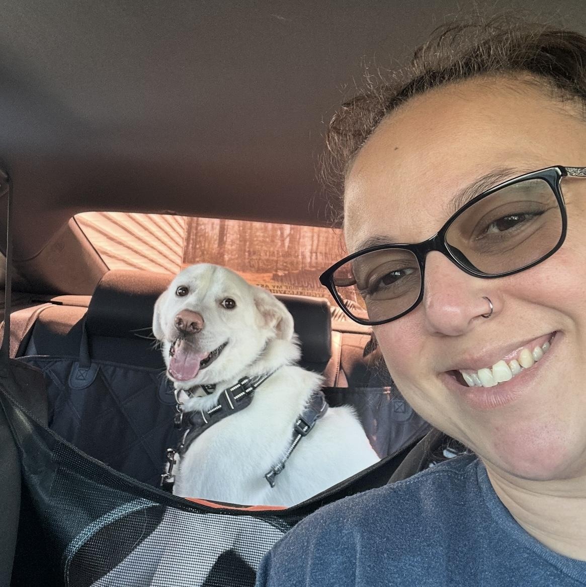 Enlarge Tripp, a Adoptable mixed breed in Brentwood, TN image 2/3