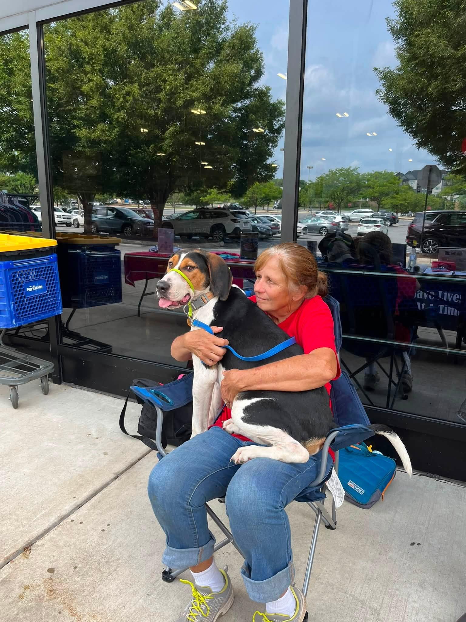 Whiskey, a ADOPTABLE mixed breed in Stuarts Draft, VA image 5/6