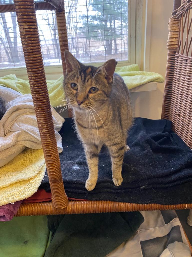 Betty — thumbnail 2